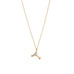 14 Karat Gold Plated CZ Martini Charm Necklace