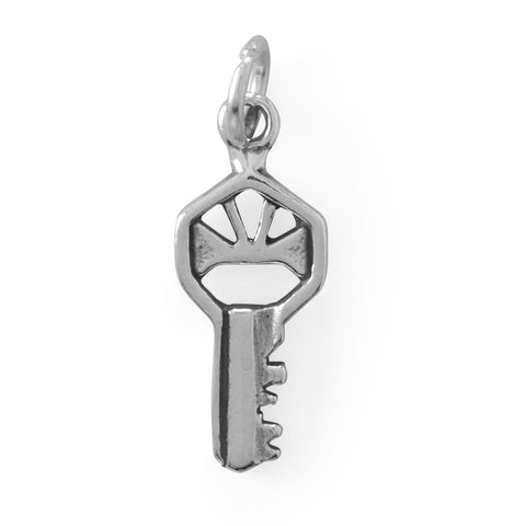 You Hold The Key! Oxidized 3D Key Charm