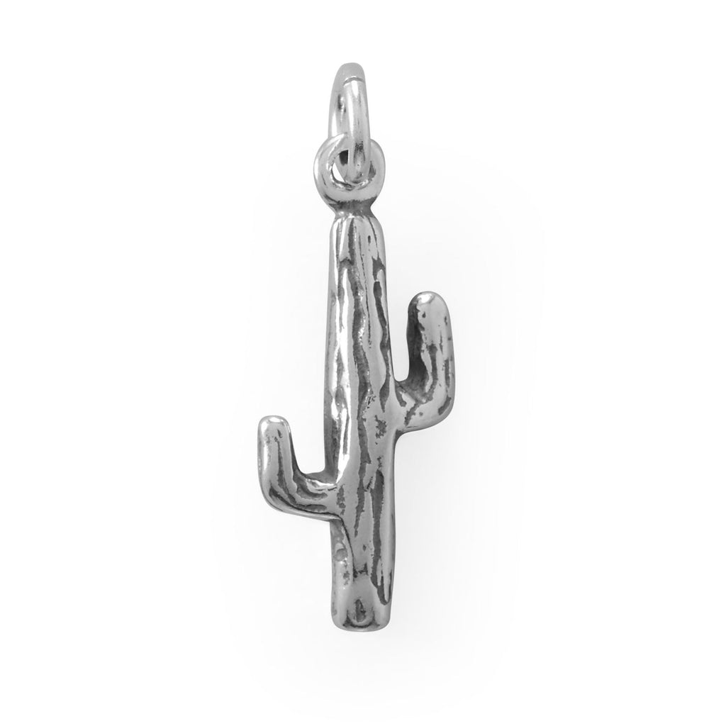 Lookin' Sharp! Oxidized 3D Cactus Charm