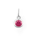 Rhodium Plated Round CZ Birthstones Charm (January-December)