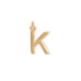 14 Karat Gold Plated Polished Letter Charm (A-Z)