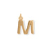 14 Karat Gold Plated Polished Letter Charm (A-Z)