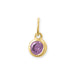 14 Karat Gold Plated Round CZ Birthstone Charms (January-December)