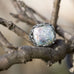 Ornate Large Square Roman Glass Ring