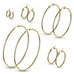 Stainless Steel Gold IP Hoop Earrings