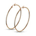 Stainless Steel Rose Gold Hoop Earrings - Matador Diamond